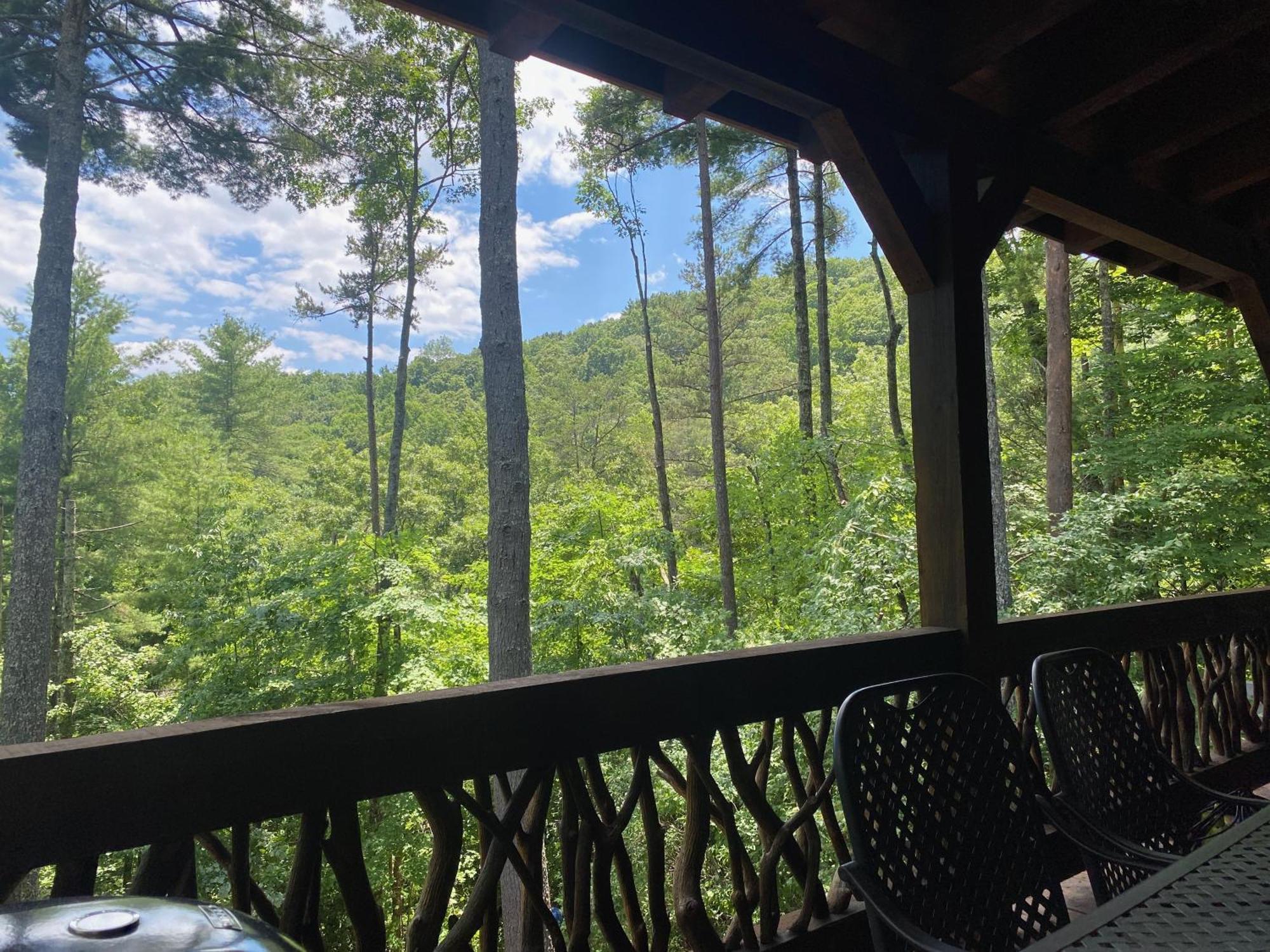 فيلا The Cozy Lazy Laurel With Year-Round Mountain Views, Hot Tub, Fire Pit Cherry Log المظهر الخارجي الصورة